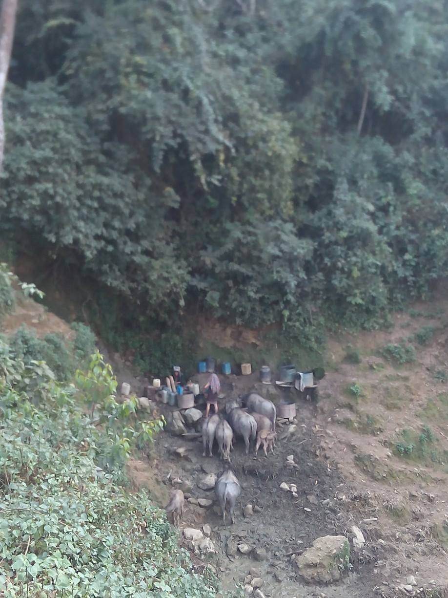 2 Days Luang Prabang Trekking To Hmong and Khmu Hilltribe Villages